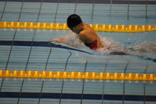 [写真] 女子100m平泳ぎ