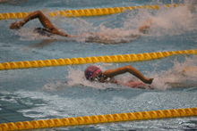 [写真] 女子200mフリーリレー（第1泳者）