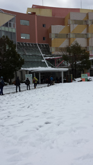 [写真] 雪の国立オリンピック記念青少年総合センター