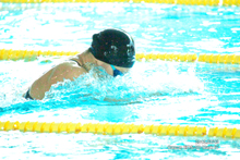 [写真] 女子100m平泳ぎ