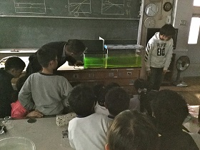 光がカーブした!?